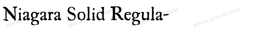 Niagara Solid Regula字体转换